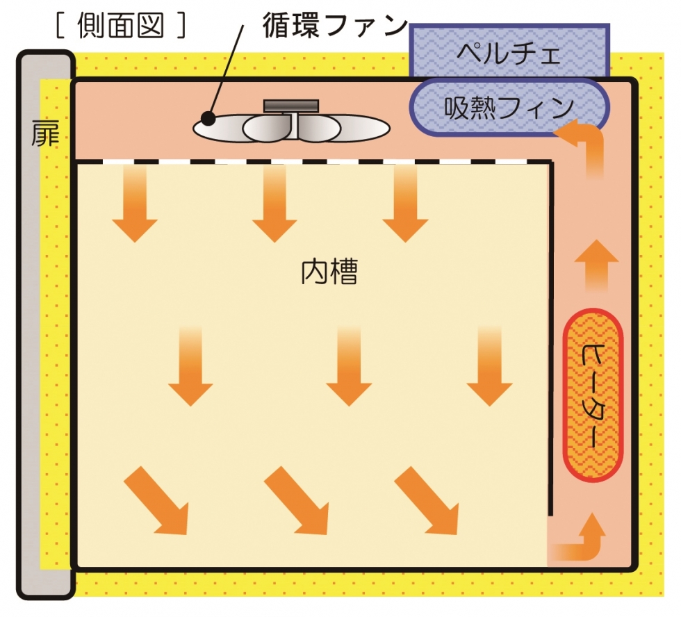 側面図